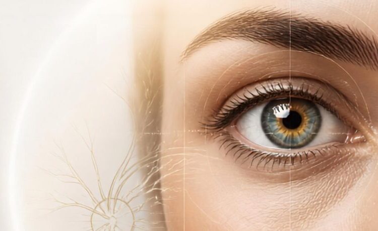  Mitos e Verdades sobre o Glaucoma: o que a ciência mais recente diz